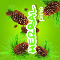 Maxi Herbal Pine  155gr.- 243ml.