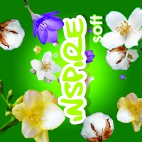 Maxi Inspire Soft  155gr.- 243ml.