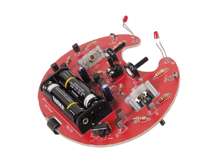 KRUIPENDE MICROBUG 1st.