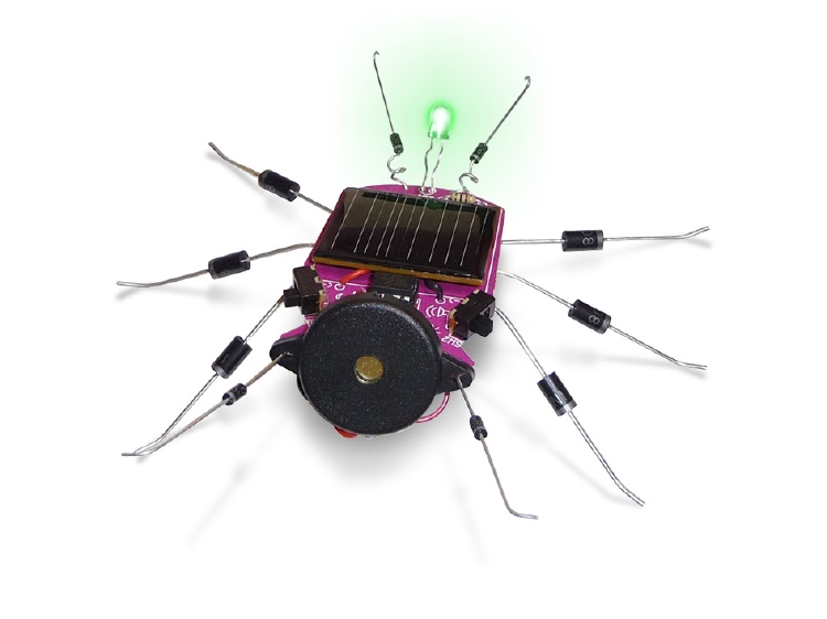 INSECT OP ZONNE-ENERGIE 1st.