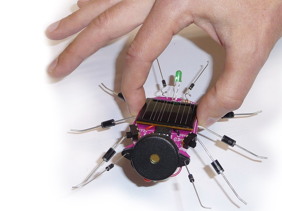 INSECT OP ZONNE-ENERGIE 1st.