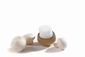 CHAMPIGNONBORSTEL CHAMPY WESTMARK 5180