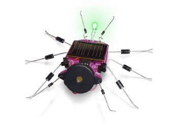 INSECT OP ZONNE-ENERGIE 1st.