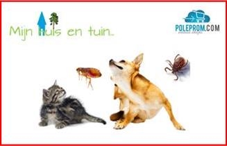 Honden/katten