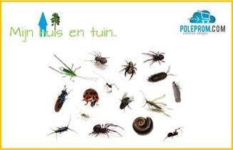 Insecten